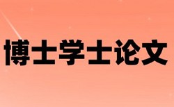 无损检测和桥梁工程论文