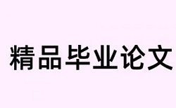 先锋论文检测软件怎样