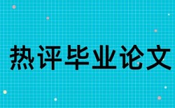 审计信息系统论文