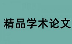 论文检测分段