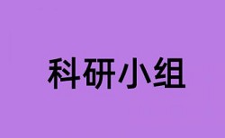 论文查重中相似片段