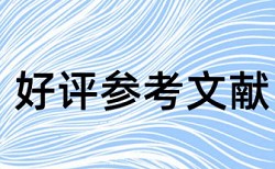 注册会计师和内部审计论文