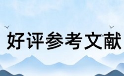 市场营销战略和经济全球化论文