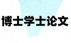 英语学士论文改查重如何