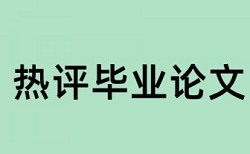 港珠澳大桥和应急电源论文