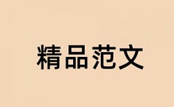 本科论文查重13%