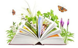 植物与环境保护论文