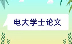 松下中国市场论文