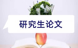 翻译技师论文