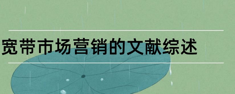 宽带市场营销的文献综述和市场营销文献综述