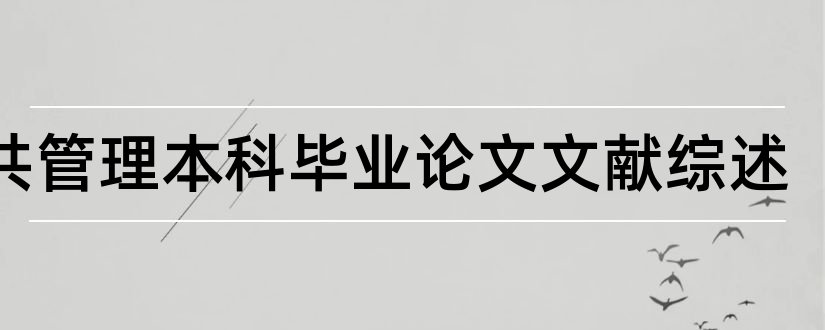 公共管理本科毕业论文文献综述和大专毕业论文