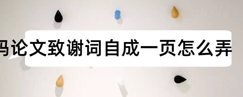 页码论文致谢词自成一页怎么弄和毕业论文致谢词