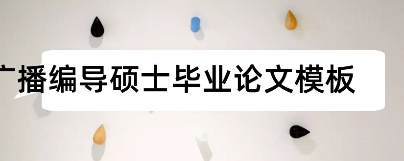 广播编导硕士毕业论文模板和本科毕业论文