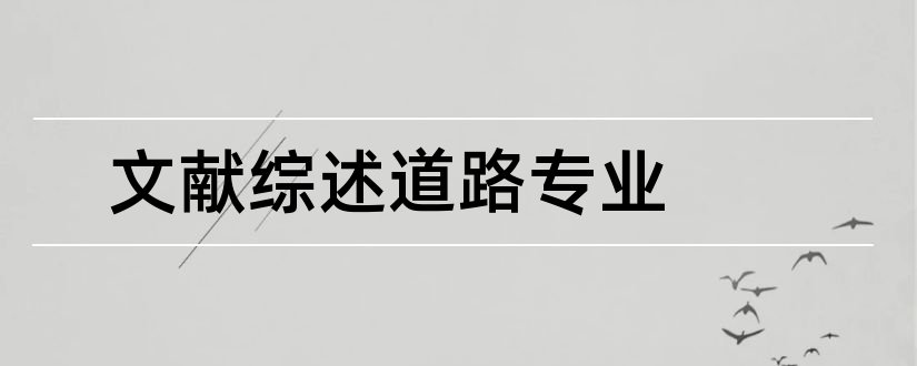 文献综述道路专业和道路文献综述