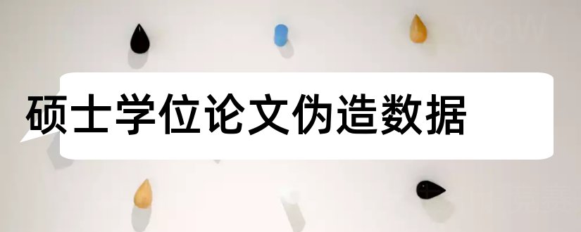 硕士学位论文伪造数据和硕士学位论文格式