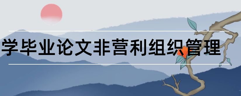 大学毕业论文非营利组织管理和非营利组织毕业论文