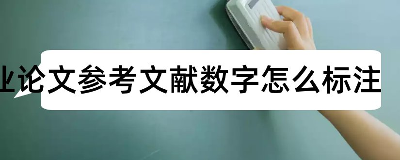 毕业论文参考文献数字怎么标注和毕业论文参考文献网