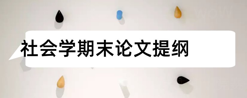 社会学期末论文提纲和本科毕业论文