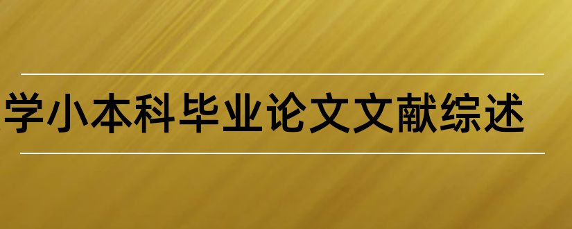 数学小本科毕业论文文献综述和本科论文文献综述范文