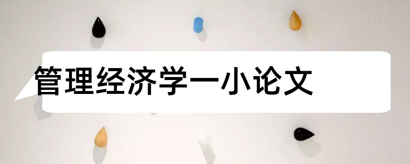 管理经济学一小论文和管理经济学论文