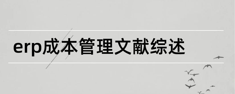 erp成本管理文献综述和erp文献综述