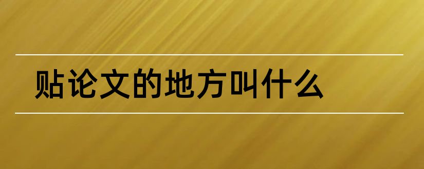 贴论文的地方叫什么和地方政务管理论文