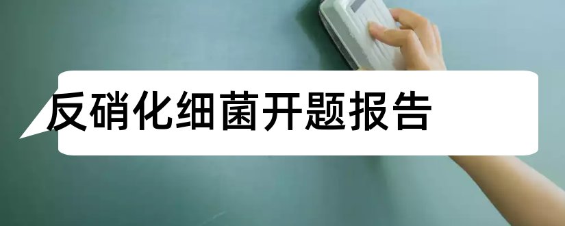 反硝化细菌开题报告和开题报告模板