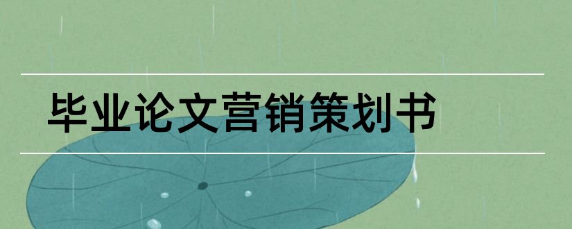 毕业论文营销策划书和市场营销策划书论文