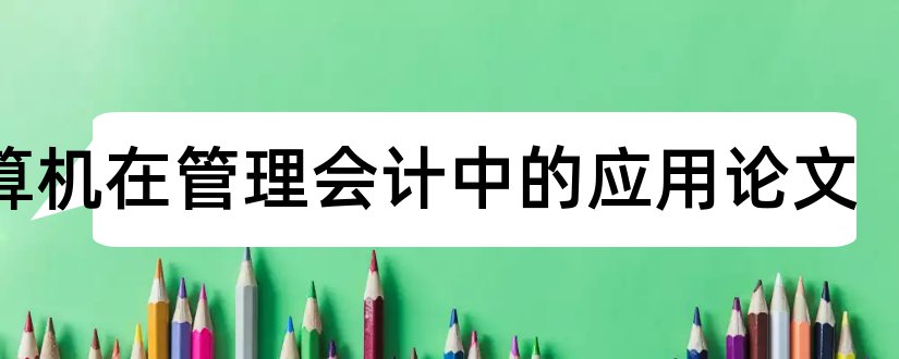 计算机在管理会计中的应用论文和计算机会计论文