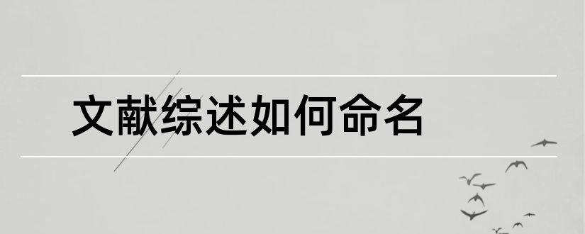 文献综述如何命名和文献综述命名