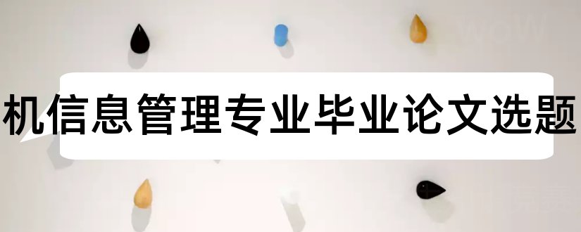 计算机信息管理专业毕业论文选题和计算机毕业设计选题