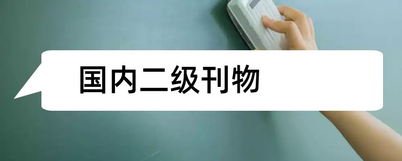 国内二级刊物和国内二级学术刊物