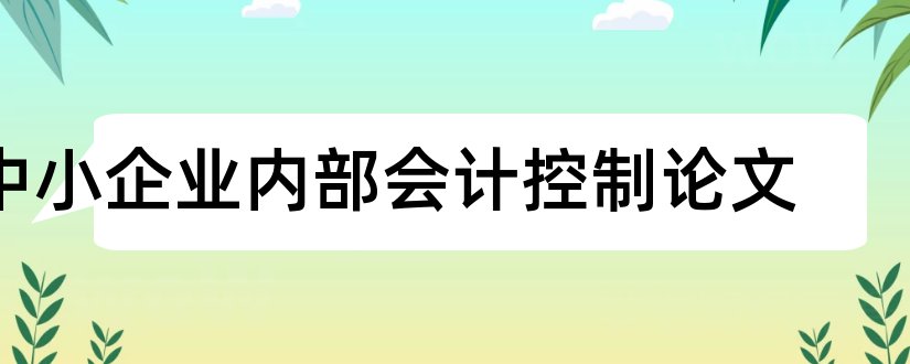 中小企业内部会计控制论文和内部会计控制论文