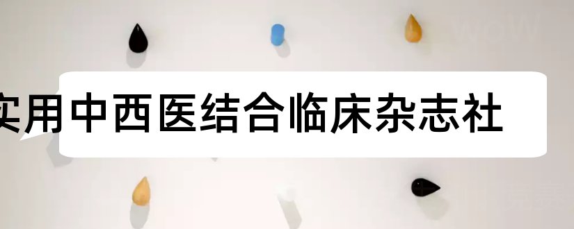 实用中西医结合临床杂志社和论文范文中西医结合杂志社