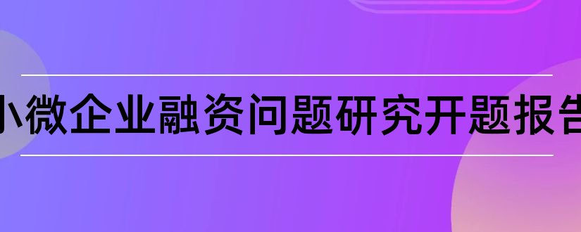 我国小微企业融资问题研究开题报告和研究生论文开题报告