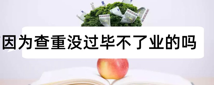 有因为查重没过毕不了业的吗和查重网站