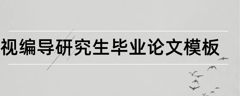 电视编导研究生毕业论文模板和本科毕业论文