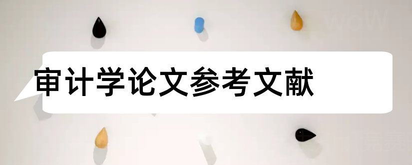 审计学论文参考文献和审计学参考文献