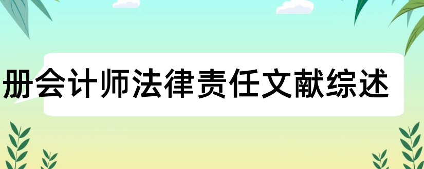 注册会计师法律责任文献综述和会计文献综述