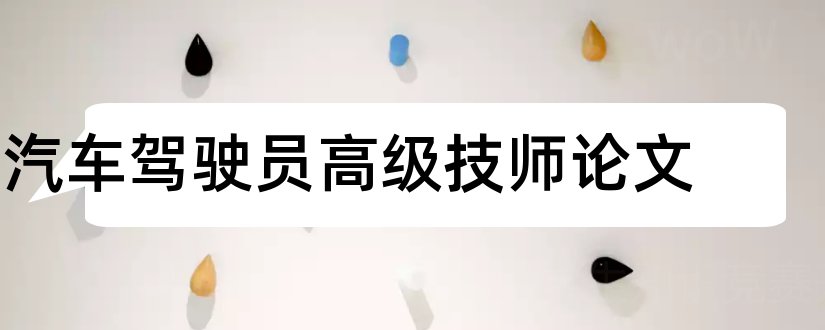 汽车驾驶员高级技师论文和技师论文