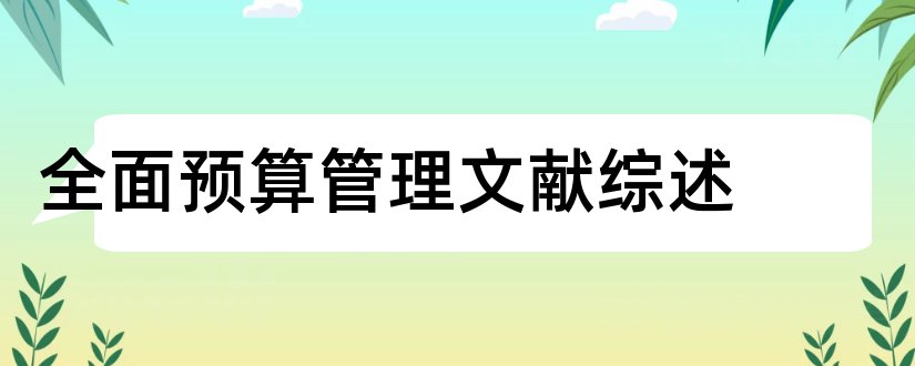 全面预算管理文献综述和全面预算管理综述