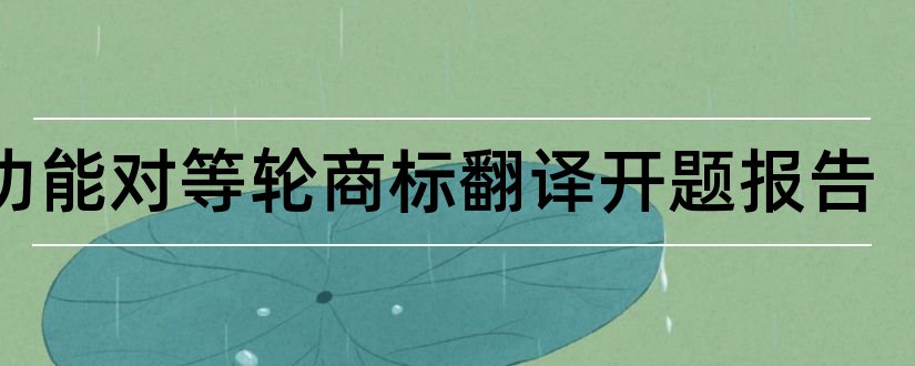 从功能对等轮商标翻译开题报告和功能对等理论开题报告