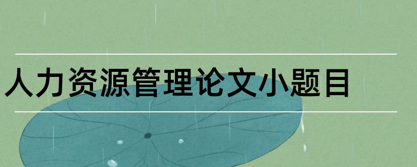 人力资源管理论文小题目和人力资源论文题目