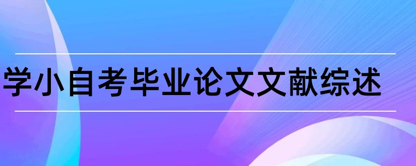 数学小自考毕业论文文献综述和数学论文文献综述