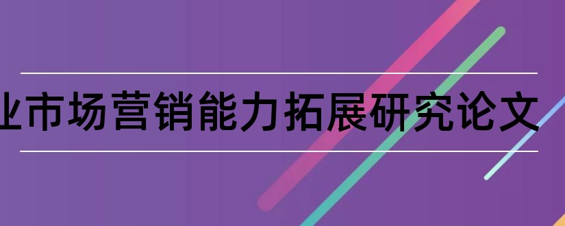 企业市场营销能力拓展研究论文和企业盈利能力分析论文